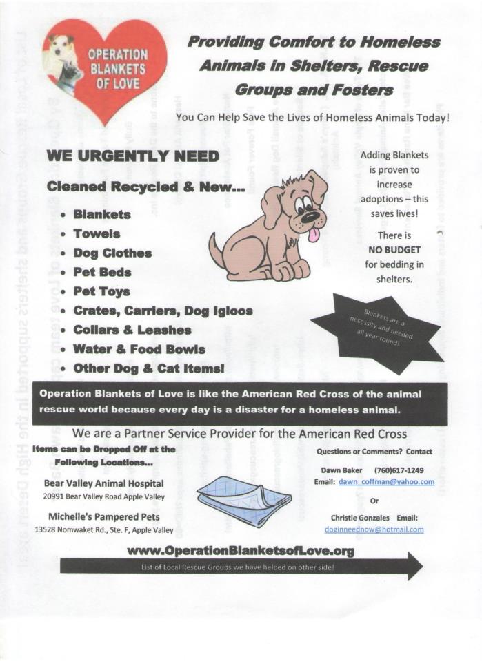 HD Operation of love - Collection Drive for Animal Shelters, Abandoned Pets and Homeless Pets